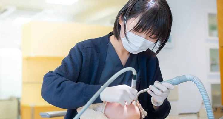 各分野のプロフェッショナルが在籍